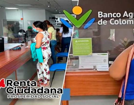 Facilitando el Acceso a Subsidios y Renta Ciudadana
