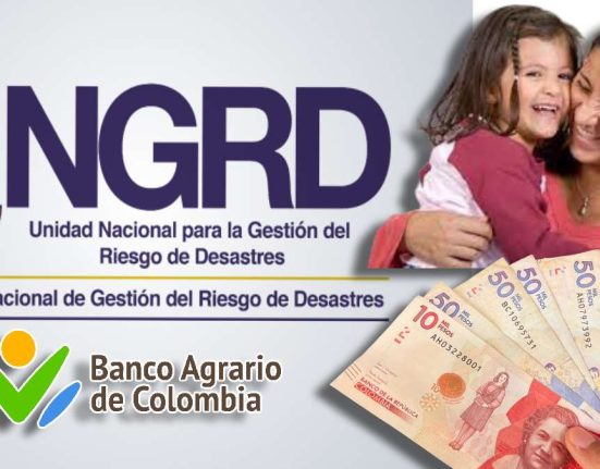 Jefas y Jefes de Hogar-Mp Noticias