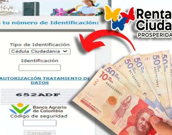 Link de Consulta Banco Agrario, Bico-Pago de Diciembre 2023-MP Noticias, link de consulta banco agrario, billetes colombianos de varia nominación, flecha roja, logo de renta ciudadana