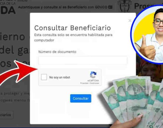 Devolución del IVA 2024-MP Noticias