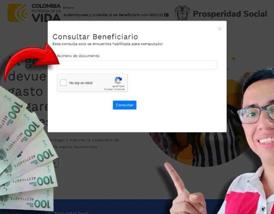 Devolución del IVA 2024-MP Noticias