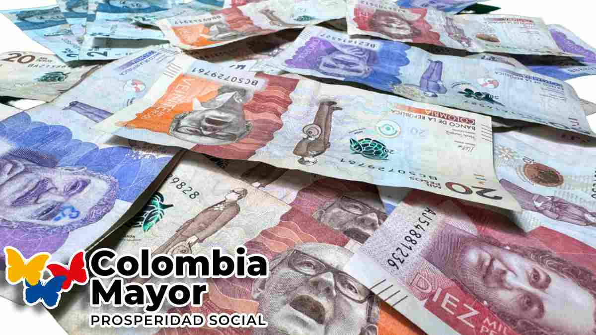 Subsidio Colombia Mayor-MP Noticias