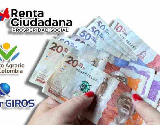 Subsidio Renta Ciudadana 2024-MP Noticias