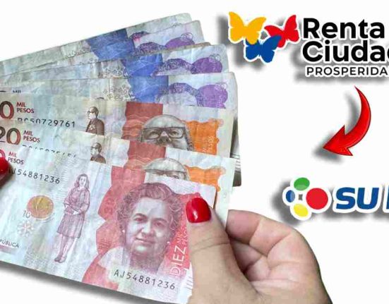 Subsidio Renta Ciudadana-MP Noticias