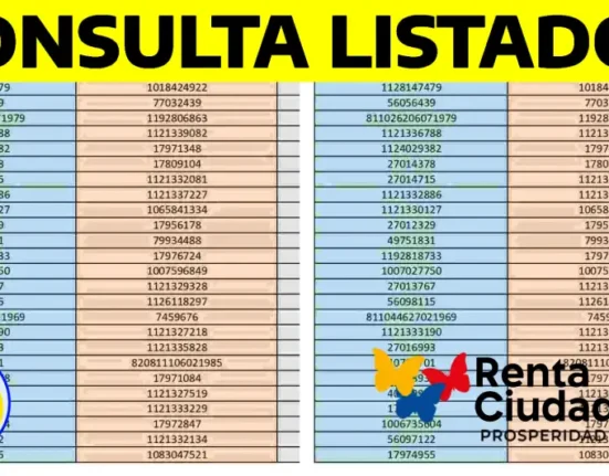 Renta Ciudadana