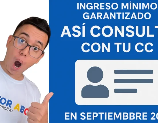 Ingreso Mínimo