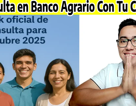 Link oficial de consulta