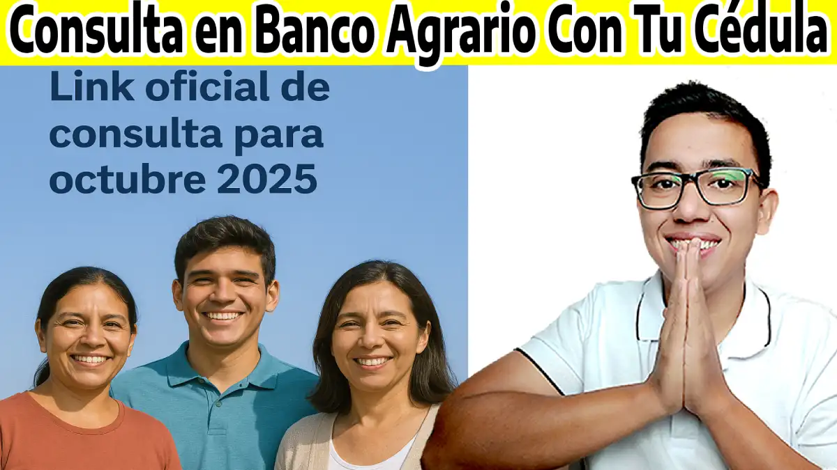 Link oficial de consulta