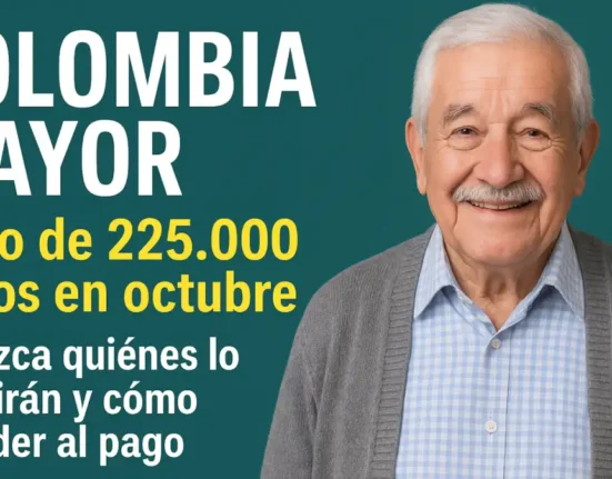 cómo acceder al pago