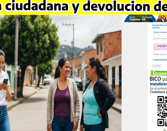 renta ciudadana