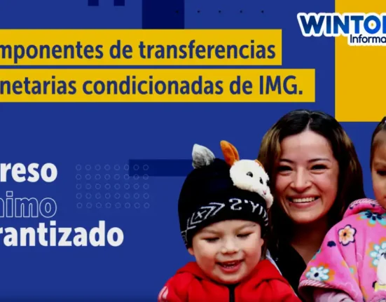Ingreso Mínimo Garantizado
