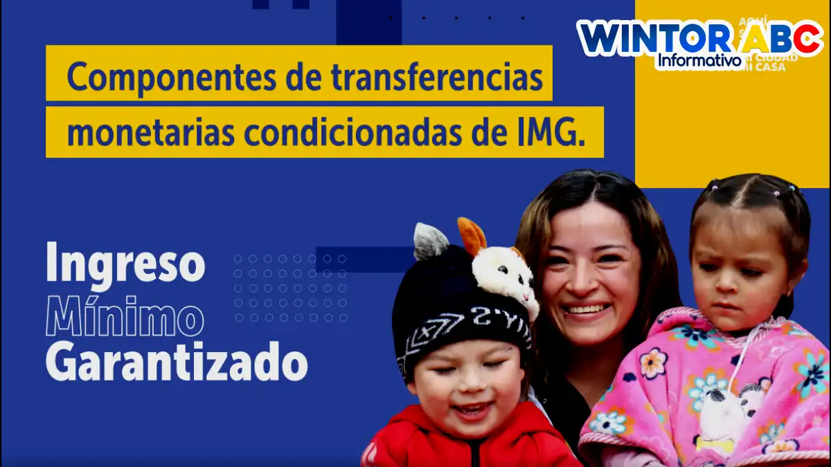 Ingreso Mínimo Garantizado